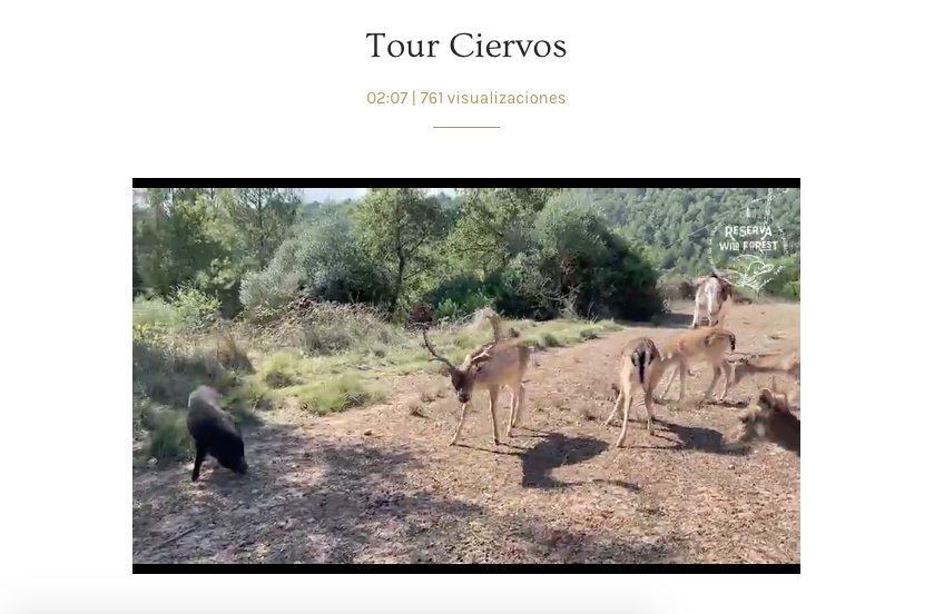 web-reserva-wild-forest-tour-virtual